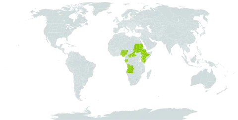 Pseudomussaenda world distribution map, present in Angola, Central African Republic, Ethiopia, Gabon, Kenya, Nigeria, Sudan, and Uganda