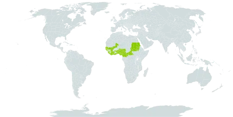 Psophocarpus palustris world distribution map, present in Benin, Central African Republic, Côte d'Ivoire, Cameroon, Ghana, Guinea, Gambia, Guinea-Bissau, Liberia, Mali, Nigeria, Sudan, Senegal, Sierra Leone, and Togo