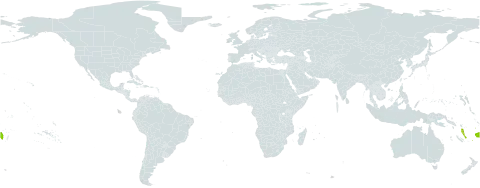 Psychotria milnei world distribution map, present in Fiji and Vanuatu
