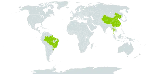 Pteris biaurita world distribution map, present in Brazil, China, and Thailand