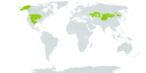 Pulsatilla patens subsp. multifida world distribution map, present in China, Kazakhstan, Liberia, Mongolia, and United States of America