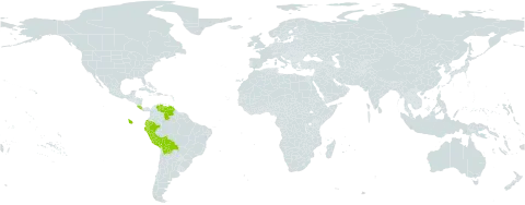 Puya world distribution map, present in Bolivia (Plurinational State of), Costa Rica, Ecuador, Peru, and Venezuela (Bolivarian Republic of)