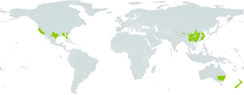 Pyracantha fortuneana world distribution map, present in Australia, China, New Zealand, and United States of America