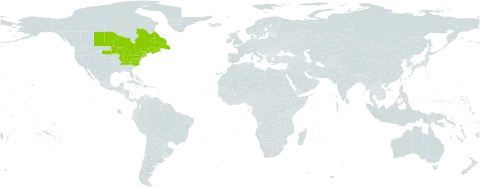 Pyrola americana world distribution map, present in Canada, France, and United States of America