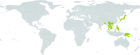 Pyrrosia piloselloides world distribution map, present in Bangladesh, China, Indonesia, India, Japan, Cambodia, Lao People's Democratic Republic, Philippines, Papua New Guinea, Singapore, Thailand, and Viet Nam