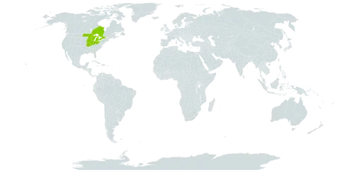 Quercus ellipsoidalis world distribution map, present in Canada, Micronesia (Federated States of), and United States of America