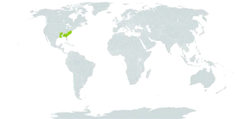 Quercus x garlandensis world distribution map, present in United States of America