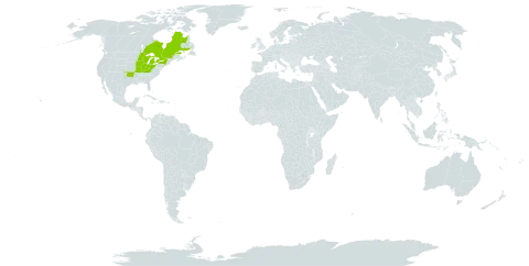 Quercus x schuettei world distribution map, present in Canada and United States of America