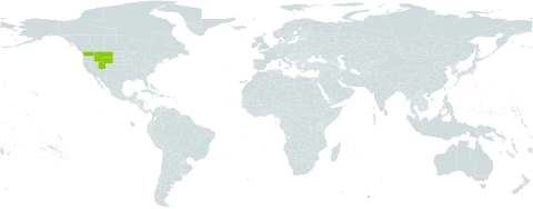 Ranunculus acriformis var. montanensis world distribution map, present in United States of America