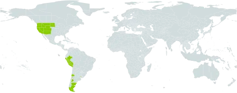 Ranunculus aristatus world distribution map, present in Argentina, Chile, Peru, Uruguay, and United States of America