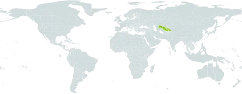 Ranunculus czimganicus world distribution map, present in Tajikistan and Uzbekistan