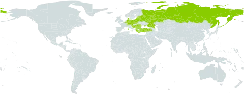 Ranunculus lanuginosus world distribution map, present in Austria, Belgium, Bulgaria, Bosnia and Herzegovina, Belarus, Switzerland, Czech Republic, Germany, Denmark, Estonia, France, Greece, Croatia, Italy, Liechtenstein, Lithuania, Latvia, North Macedonia, Montenegro, Poland, Romania, Russian Federation, Serbia, Slovakia, Slovenia, Turkey, and Ukraine