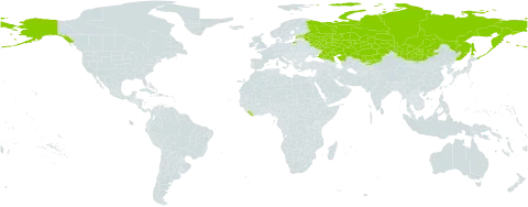 Ranunculus monophyllus world distribution map, present in China, Estonia, Kazakhstan, Kyrgyzstan, Liberia, Mongolia, Russian Federation, and United States of America