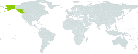 Ranunculus pacificus world distribution map, present in Canada and United States of America