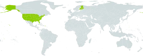 Ranunculus pinguescens world distribution map, present in Finland and United States of America