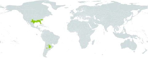 Ranunculus platensis world distribution map, present in Argentina, Uruguay, and United States of America