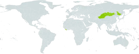 Ranunculus radicans world distribution map, present in China, Liberia, and Mongolia