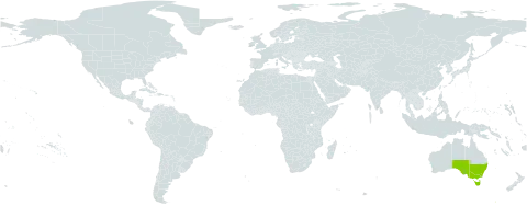 Ranunculus scapiger world distribution map, present in Australia