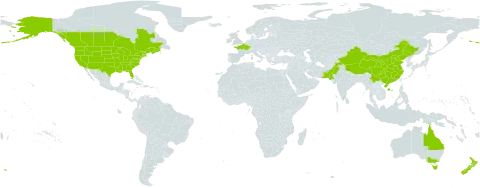 Ranunculus sceleratus world distribution map, present in Australia, Canada, China, France, New Zealand, Pakistan, and United States of America