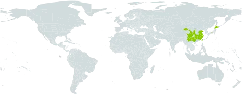 Ranunculus sieboldii world distribution map, present in China, Japan, and Taiwan, Province of China