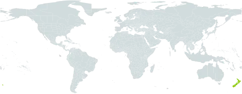 Raoulia haastii world distribution map, present in New Zealand