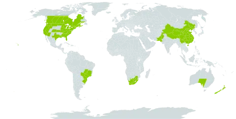 Raphanus raphanistrum world distribution map, present in Australia, Brazil, Canada, China, France, India, New Zealand, Pakistan, United States of America, and South Africa