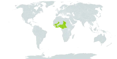 Raphionacme vignei world distribution map, present in Benin, Burkina Faso, Central African Republic, Côte d'Ivoire, Cameroon, Ghana, Guinea, Guinea-Bissau, Mali, Nigeria, Chad, and Togo