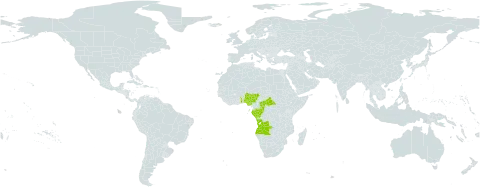 Renealmia africana world distribution map, present in Angola, Central African Republic, Congo, Gabon, Nigeria, and Togo