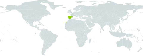 Reseda virgata world distribution map, present in Spain and Portugal