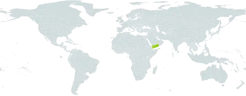 Rhabdotosperma bottae world distribution map, present in Yemen