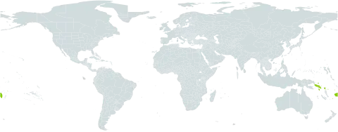 Rhaphidophora spuria world distribution map, present in Fiji, Solomon Islands, and Samoa