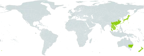 Rhaphiolepis indica world distribution map, present in Australia, China, Japan, Cambodia, Lao People's Democratic Republic, New Zealand, Thailand, Taiwan, Province of China, and Viet Nam