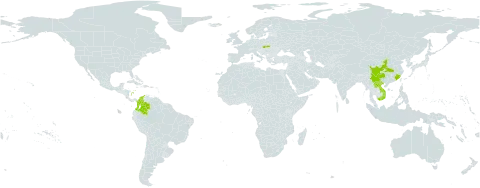 Rheum officinale world distribution map, present in China, Colombia, Lao People's Democratic Republic, Slovakia, and Viet Nam