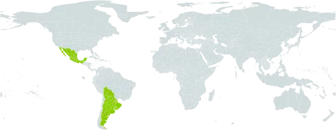 Rhynchosia diversifolia world distribution map, present in Argentina, Bolivia (Plurinational State of), Brazil, Mexico, Paraguay, and Uruguay