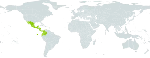 Rhynchosia erythrinoides world distribution map, present in Bonaire, Sint Eustatius and Saba, Colombia, Costa Rica, Ecuador, Guatemala, Honduras, Mexico, Nicaragua, and Panama