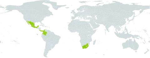 Rhynchosia quercetorum world distribution map, present in Colombia, Costa Rica, Mexico, Panama, and South Africa
