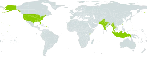 Rhynchosia rothii world distribution map, present in Indonesia, India, Kenya, Myanmar, Malaysia, Nepal, Pakistan, Thailand, Timor-Leste, Taiwan, Province of China, and United States of America