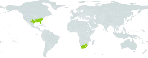 Rhynchosia tomentosa world distribution map, present in United States of America and South Africa