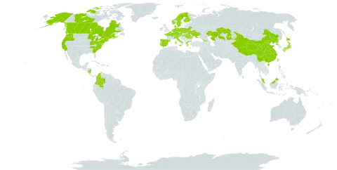 Rhynchospora alba world distribution map, present in Åland Islands, Austria, Belarus, Canada, Switzerland, China, Colombia, Czech Republic, Germany, Denmark, Spain, Finland, France, Micronesia (Federated States of), Georgia, Greece, Hungary, Ireland, Italy, Japan, Kazakhstan, Malaysia, Nicaragua, Netherlands, Norway, Poland, Puerto Rico, Korea (Democratic People's Republic of), Portugal, Romania, Sweden, Turks and Caicos Islands, Taiwan, Province of China, Ukraine, and United States of America