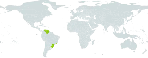 Rhynchospora gollmeri world distribution map, present in Brazil and Venezuela (Bolivarian Republic of)