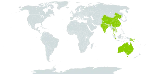 Rhynchospora submarginata world distribution map, present in Australia, China, Indonesia, India, Iceland, Malaysia, Papua New Guinea, Thailand, and Viet Nam
