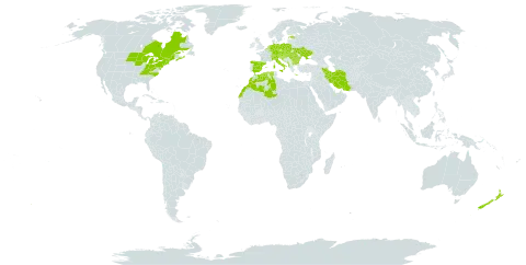 Ribes uva-crispa world distribution map, present in Albania, Andorra, Austria, Belgium, Bulgaria, Bosnia and Herzegovina, Canada, Switzerland, Czech Republic, Germany, Algeria, Spain, Estonia, France, United Kingdom of Great Britain and Northern Ireland, Greece, Croatia, Hungary, Iran (Islamic Republic of), Italy, Liechtenstein, Luxembourg, Morocco, North Macedonia, Montenegro, Netherlands, New Zealand, Poland, Romania, Slovakia, Slovenia, Ukraine, and United States of America