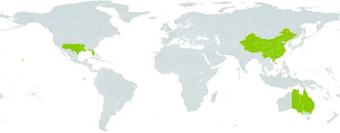 Rivina world distribution map, present in Australia, China, and United States of America