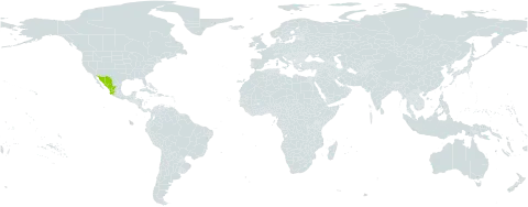 Roldana gentryi world distribution map, present in Mexico