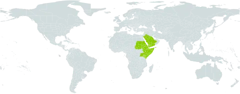 Romulea fischeri world distribution map, present in Eritrea, Ethiopia, Kenya, Saudi Arabia, Sudan, Somalia, Uganda, and Yemen