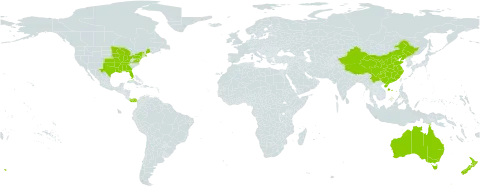 Rorippa world distribution map, present in Australia, China, New Zealand, Panama, and United States of America