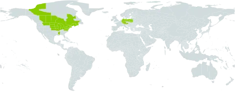 Rosa blanda world distribution map, present in Austria, Canada, Germany, Poland, and United States of America