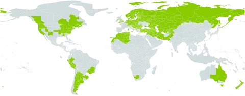 Rosa canina world distribution map, present in Afghanistan, Albania, Argentina, Armenia, Australia, Austria, Azerbaijan, Belgium, Bulgaria, Bosnia and Herzegovina, Belarus, Brazil, Canada, Switzerland, Czech Republic, Germany, Denmark, Algeria, Spain, Estonia, Finland, France, United Kingdom of Great Britain and Northern Ireland, Georgia, Greece, Croatia, Hungary, Iran (Islamic Republic of), Iraq, Israel, Italy, Kazakhstan, Kyrgyzstan, Lebanon, Liechtenstein, Lithuania, Luxembourg, Latvia, Morocco, Moldova (Republic of), North Macedonia, Malta, Montenegro, Netherlands, Norway, New Zealand, Pakistan, Peru, Poland, Portugal, Romania, Russian Federation, San Marino, Serbia, Slovakia, Slovenia, Sweden, Syrian Arab Republic, Tajikistan, Turkmenistan, Tunisia, Turkey, Ukraine, United States of America, Uzbekistan, and South Africa