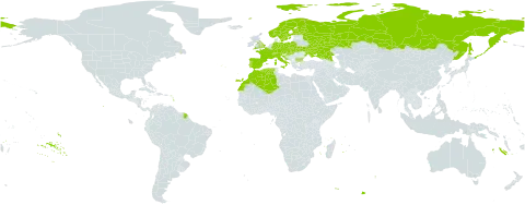 Rosa deseglisei world distribution map, present in Austria, Bulgaria, Switzerland, Czech Republic, Germany, Algeria, Spain, Finland, France, United Kingdom of Great Britain and Northern Ireland, Croatia, Hungary, Italy, Morocco, Norway, Poland, Portugal, Russian Federation, Slovakia, Sweden, and Ukraine