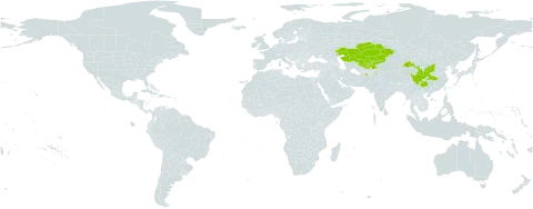 Rosa giraldii world distribution map, present in Afghanistan, China, Kazakhstan, Kyrgyzstan, Pakistan, Tajikistan, and Uzbekistan